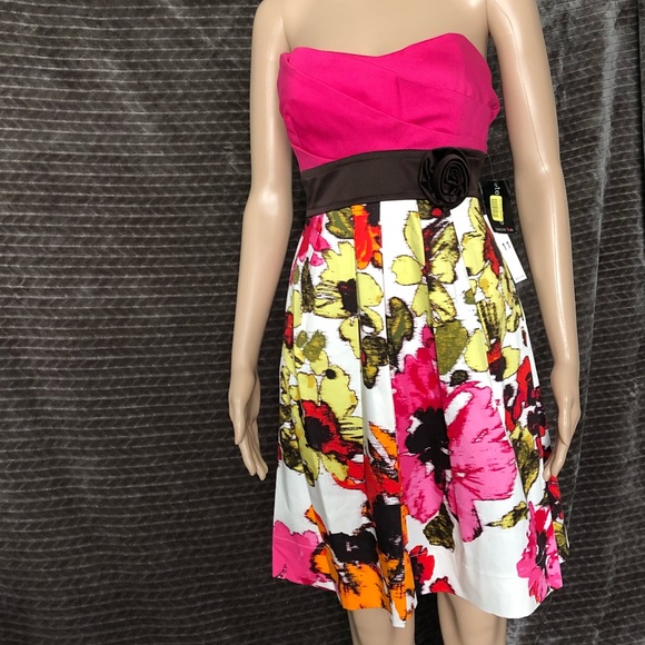 NWT Teeze Me Pink/BrownKnee Length Dress Size 11 - Picture 6 of 8